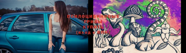 дживик Алексеевка