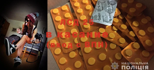 стафф Алзамай
